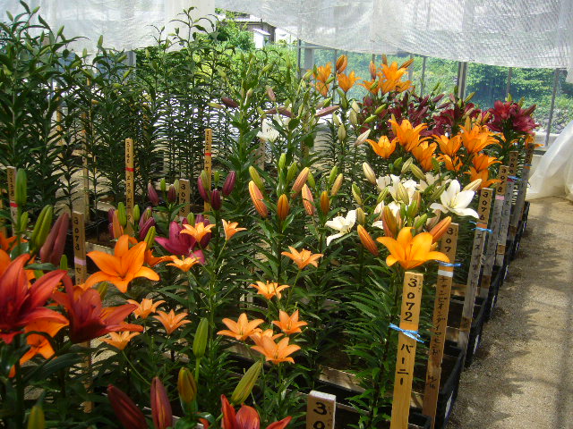 ファイル 72-5.jpg