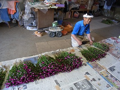 ファイル 74-2.jpg