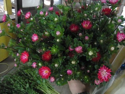 ファイル 74-3.jpg