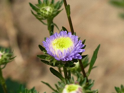 ファイル 74-4.jpg