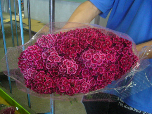 ファイル 75-1.jpg