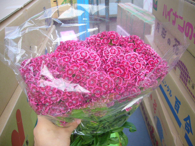 ファイル 75-2.jpg