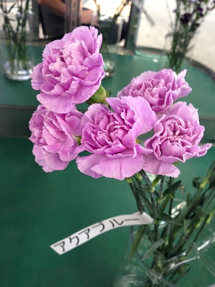 ファイル 76-2.jpg