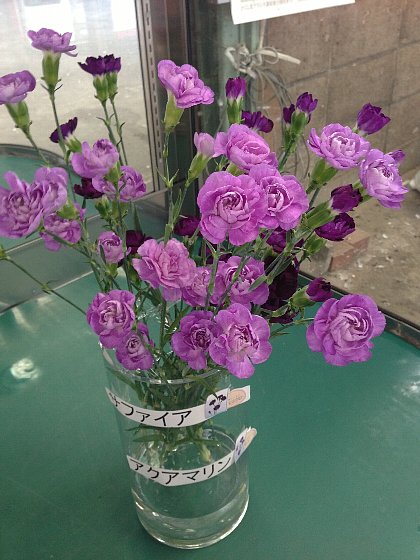 ファイル 76-3.jpg