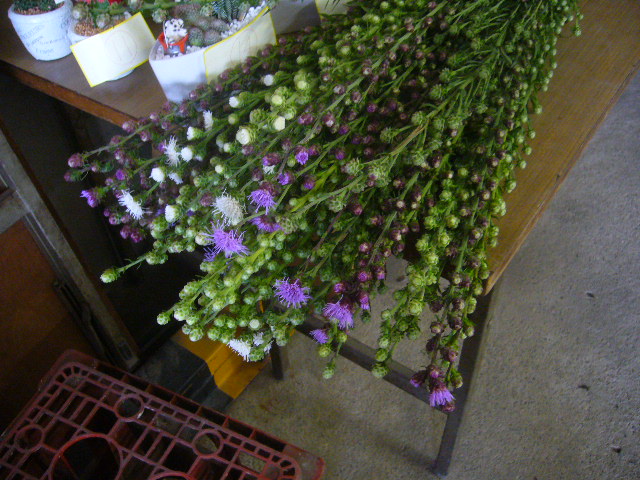 ファイル 77-1.jpg