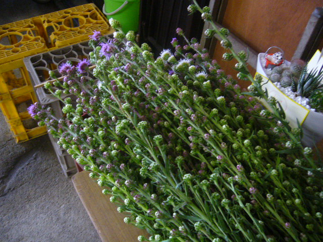 ファイル 77-3.jpg