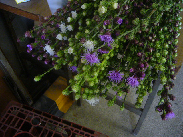 ファイル 77-4.jpg