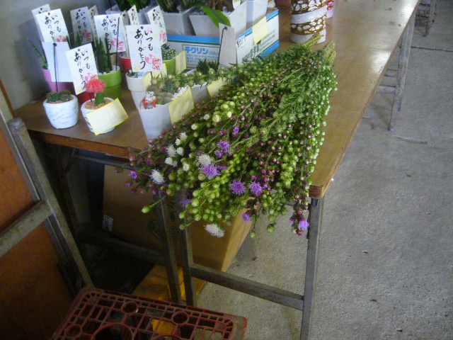 ファイル 77-5.jpg