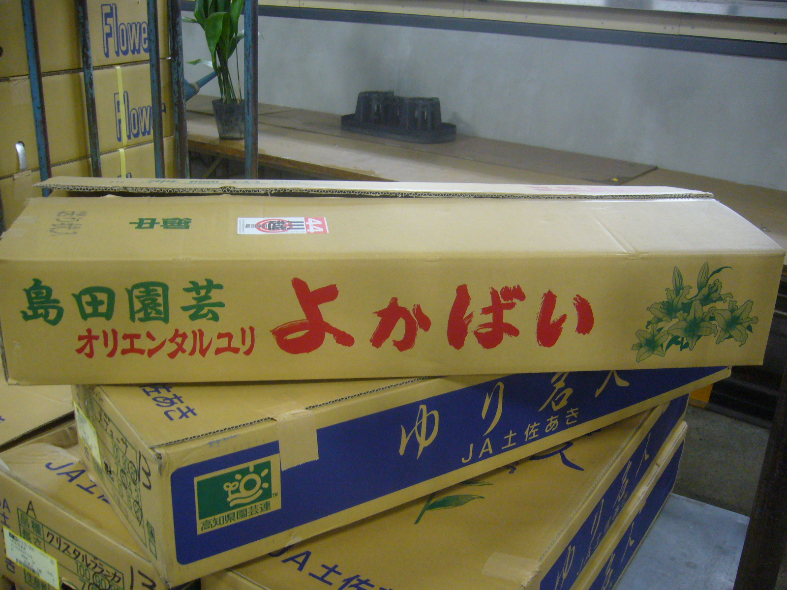 ファイル 78-1.jpg