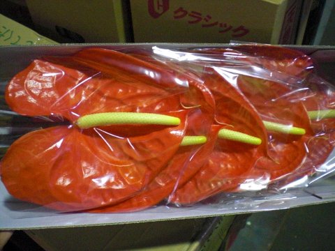 ファイル 8-3.jpg