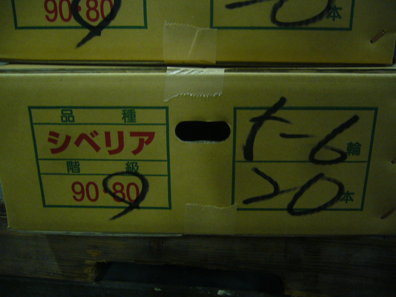 ファイル 80-1.jpg