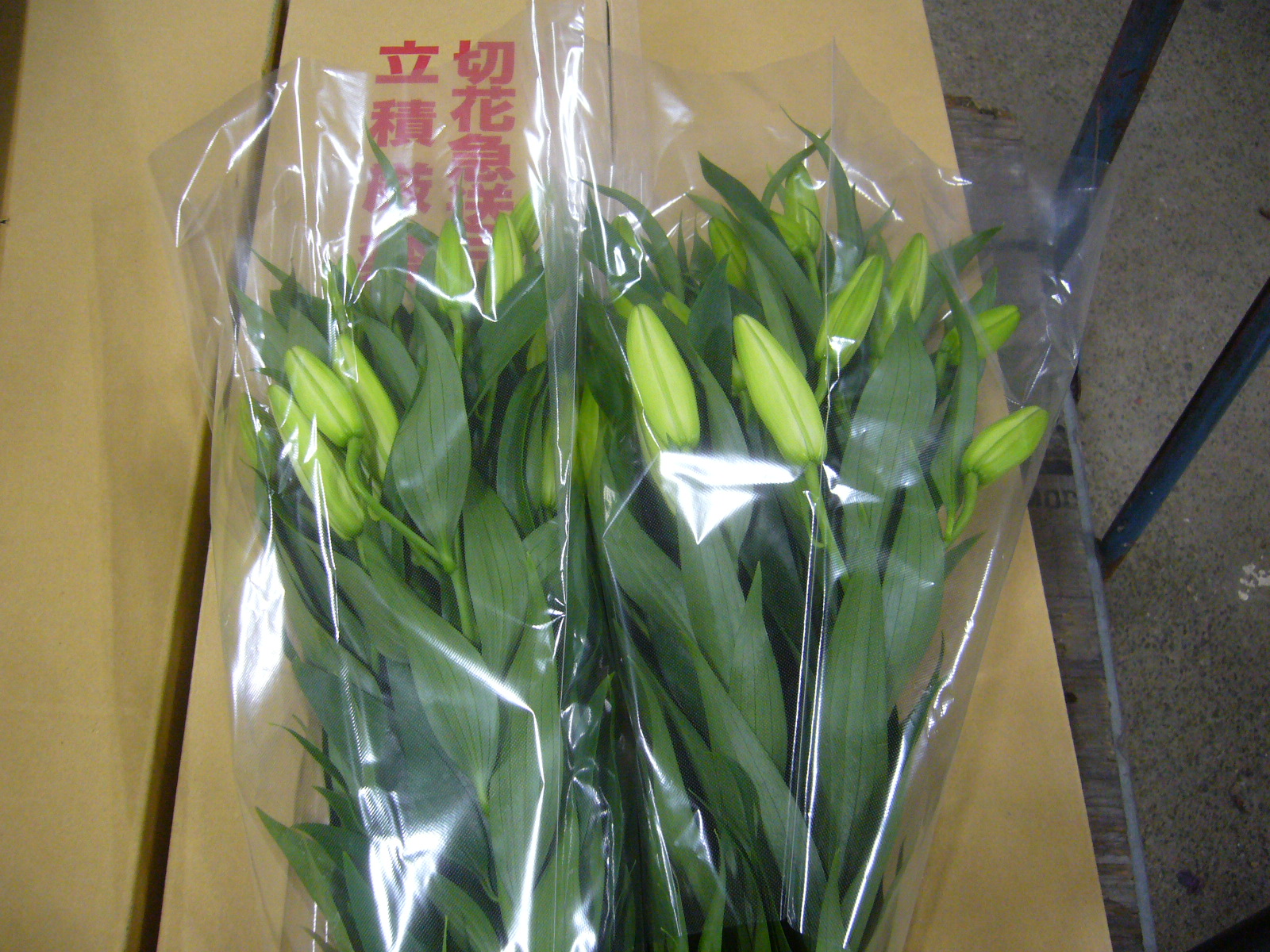 ファイル 80-2.jpg