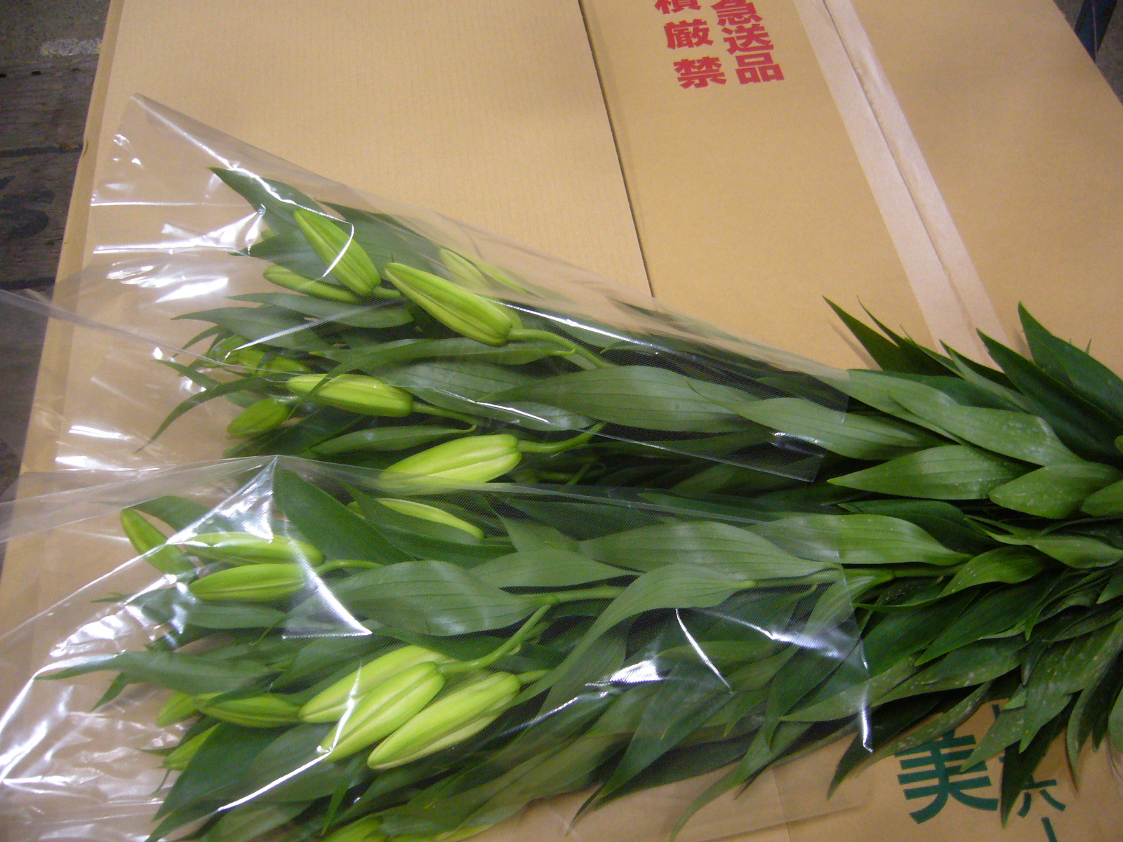 ファイル 80-3.jpg