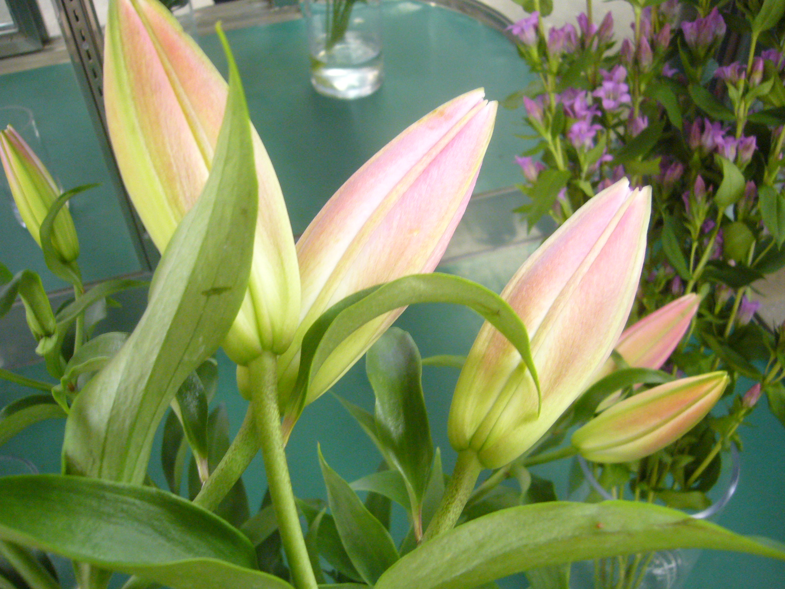 ファイル 81-2.jpg