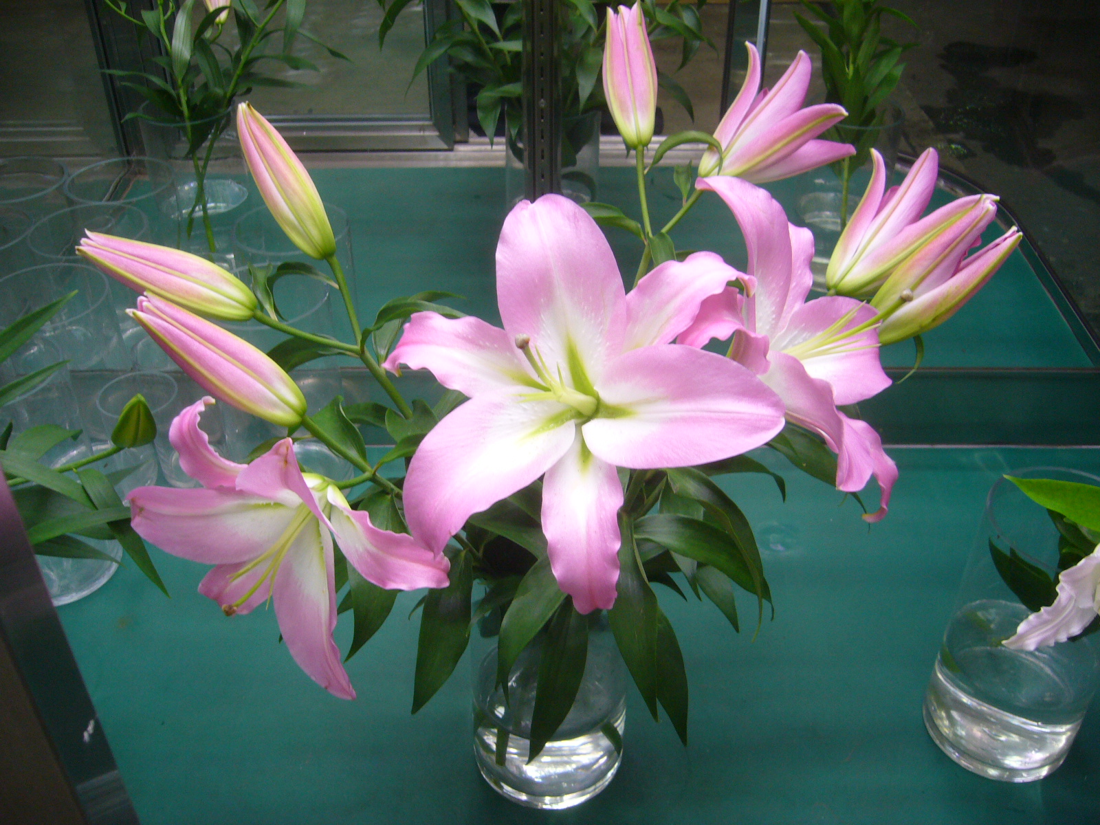 ファイル 82-2.jpg