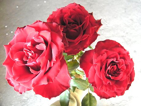 ファイル 83-1.jpg