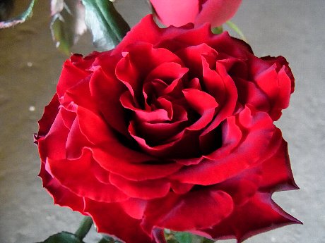 ファイル 83-2.jpg