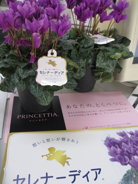 ファイル 84-1.jpg