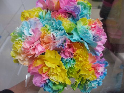 ファイル 88-1.jpg