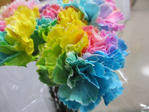 ファイル 88-2.jpg