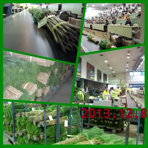 ファイル 89-1.jpg