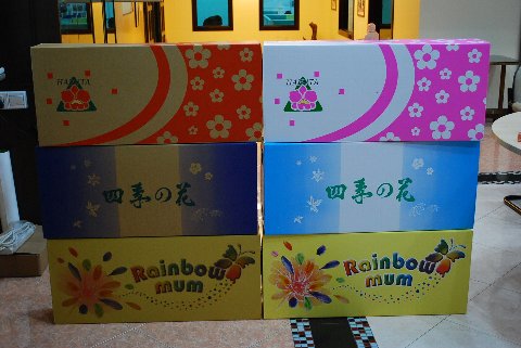 ファイル 93-1.jpg