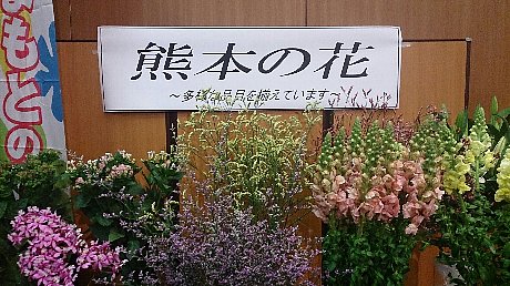 ファイル 94-2.jpg