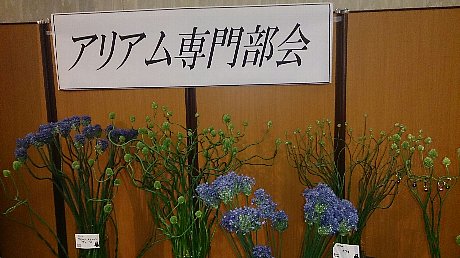 ファイル 94-3.jpg