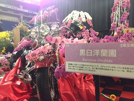 ファイル 95-1.jpg