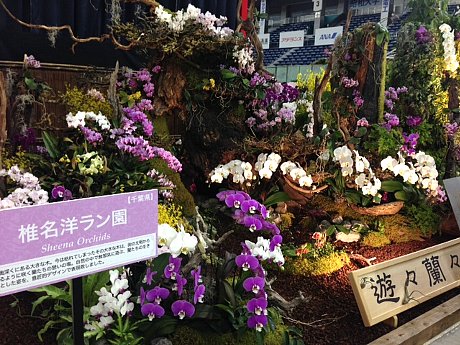 ファイル 95-2.jpg