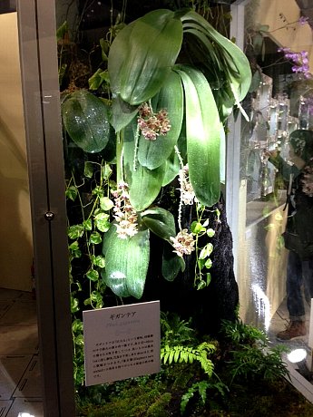 ファイル 96-5.jpg