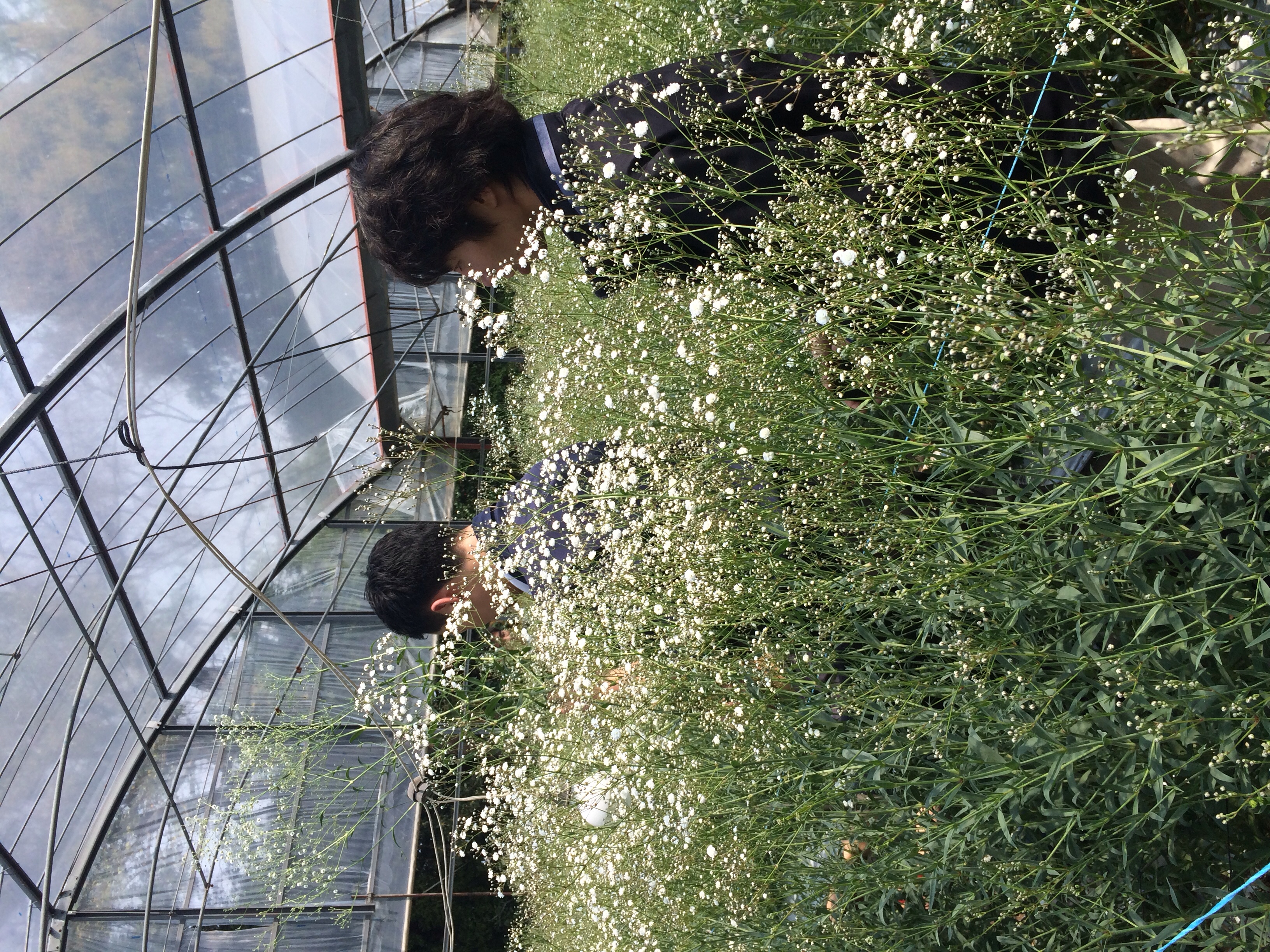 ファイル 98-1.jpg