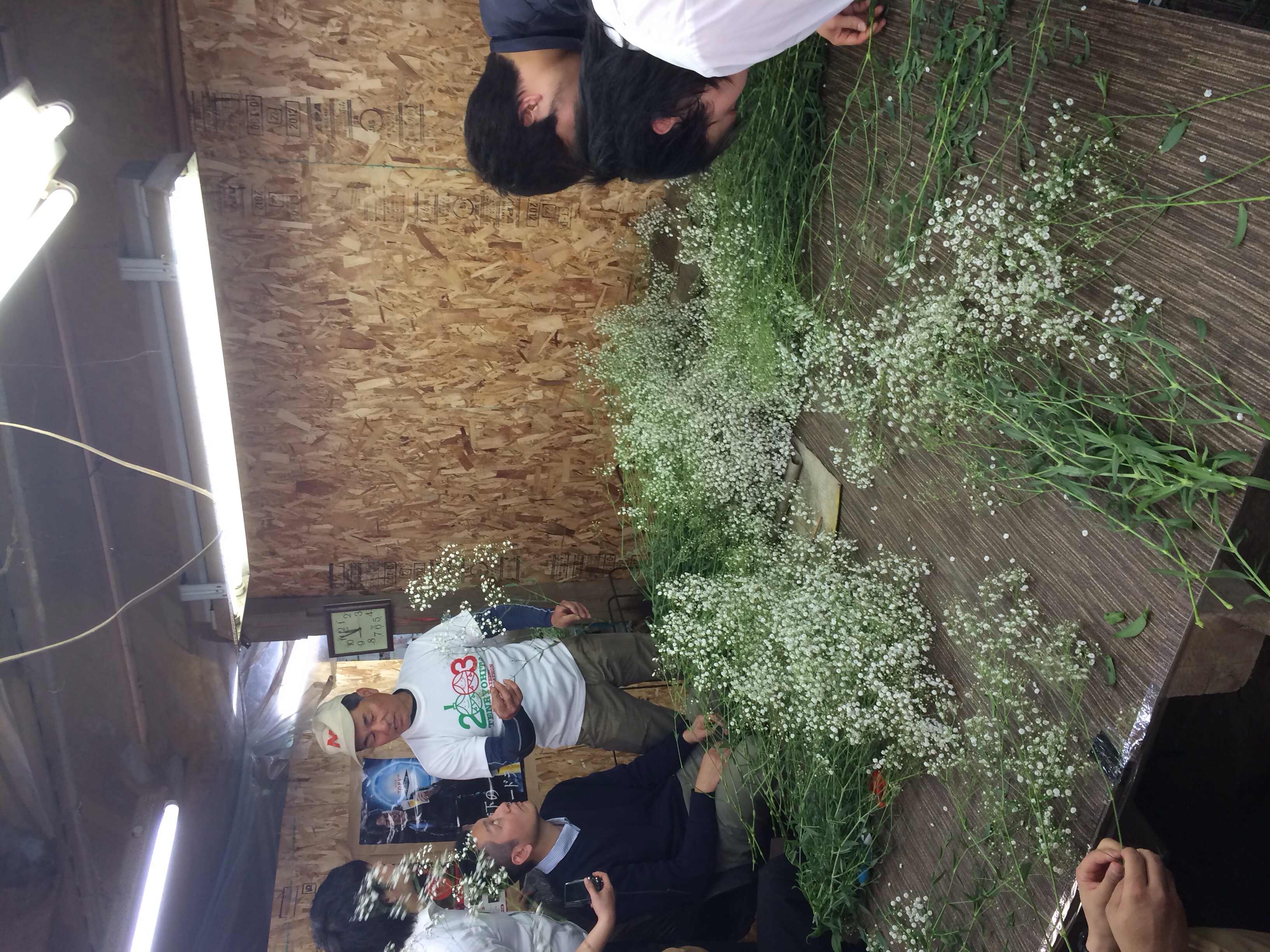 ファイル 98-2.jpg