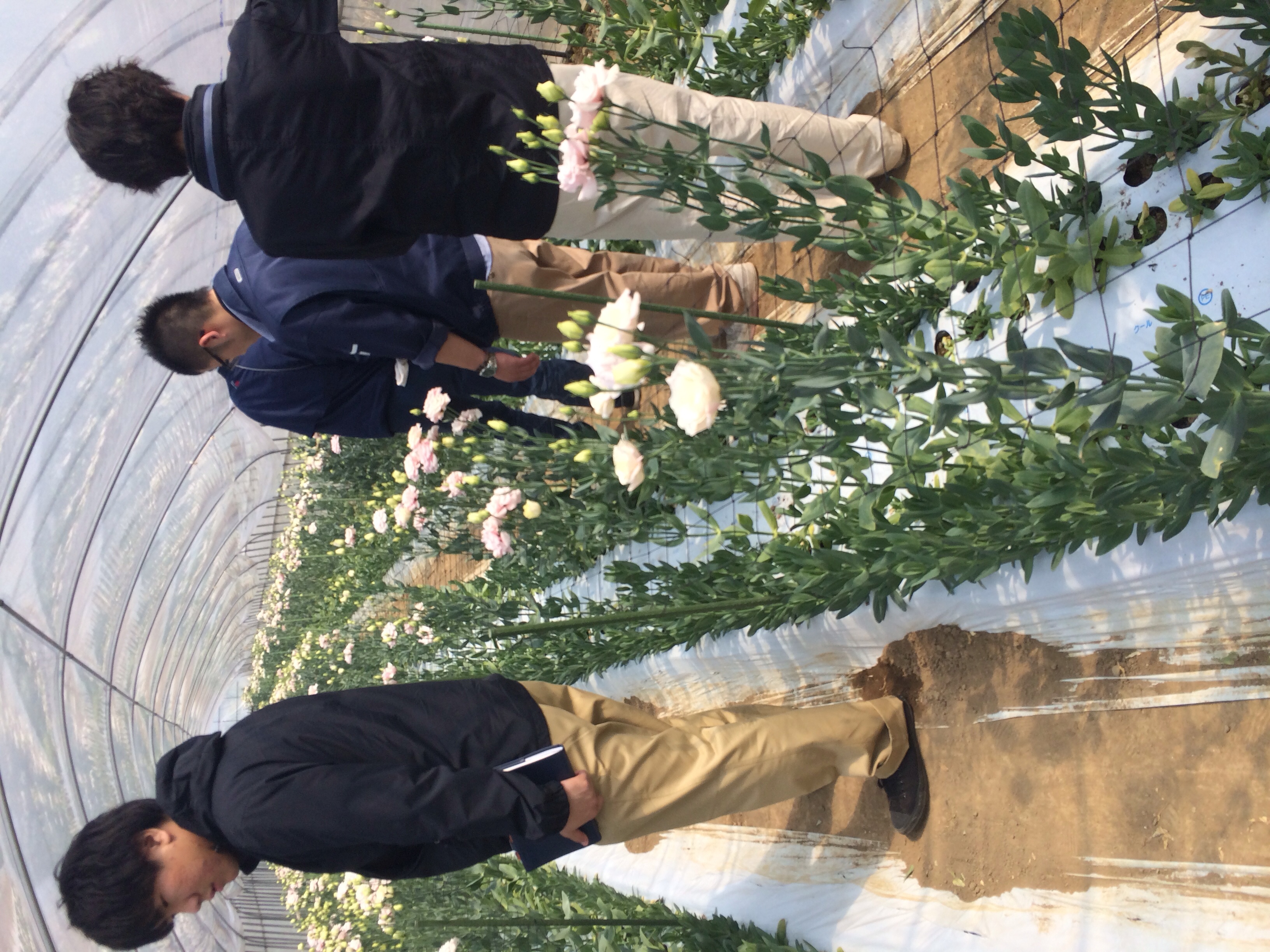 ファイル 98-3.jpg