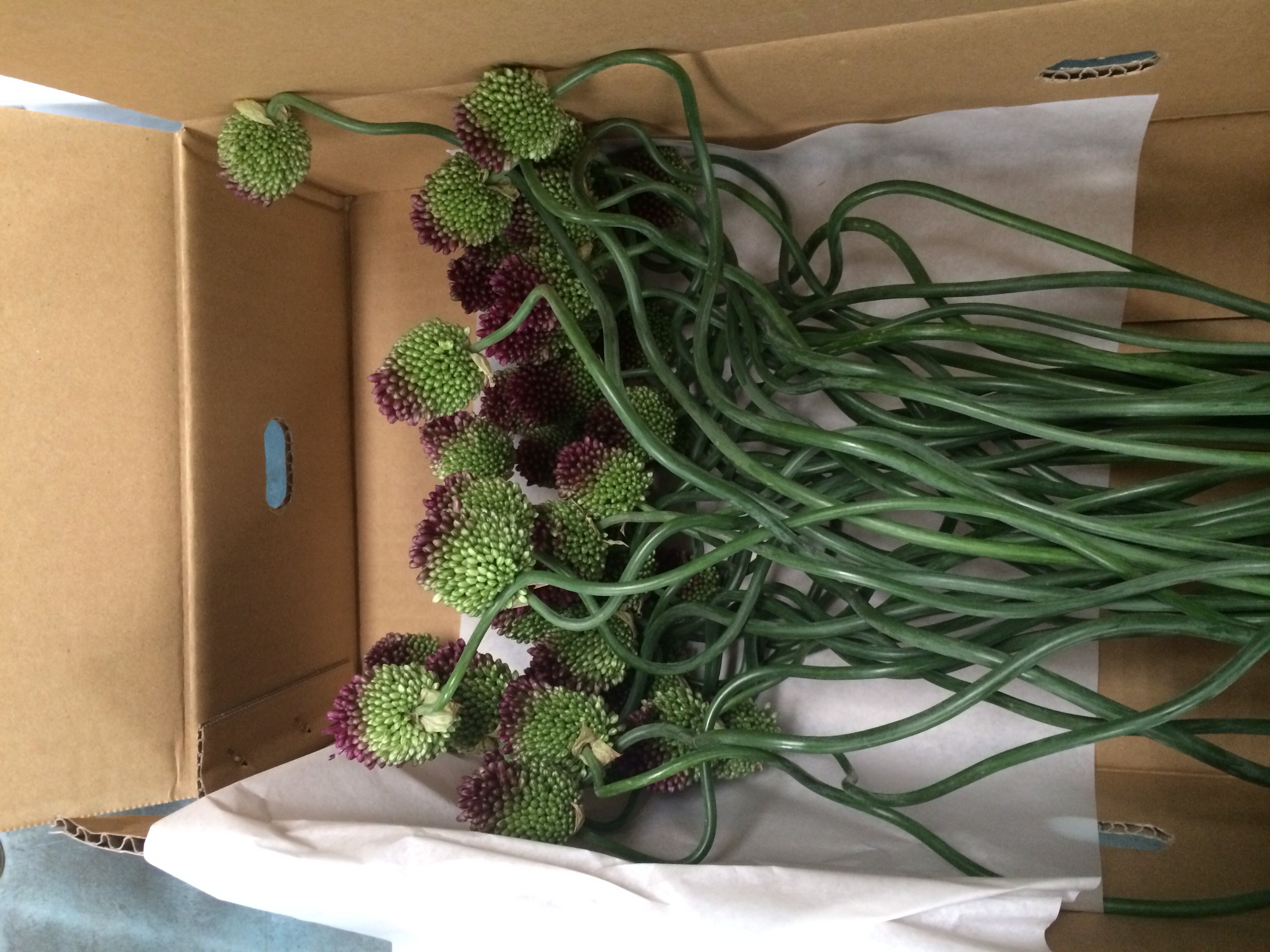 ファイル 98-5.jpg