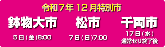 12月特別市